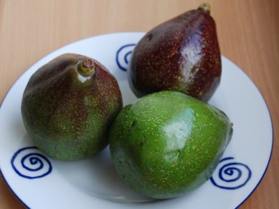 Avocado in tamil
