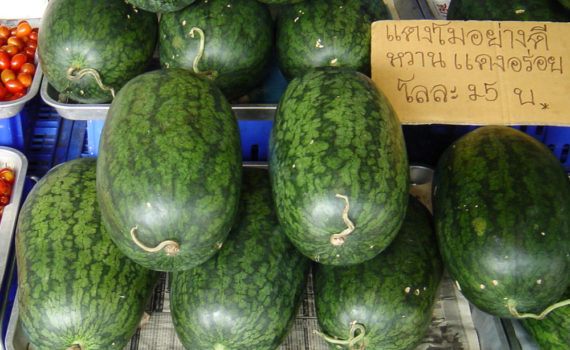 Watermelon