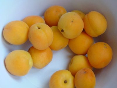 Apricot fruits