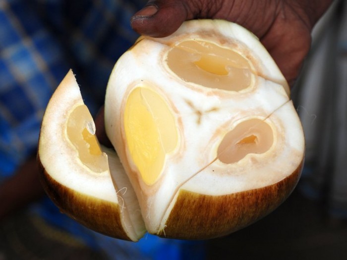 Asian palmyra palm - World Crops Database - Tropical fruits