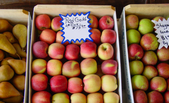 Apples are fruits