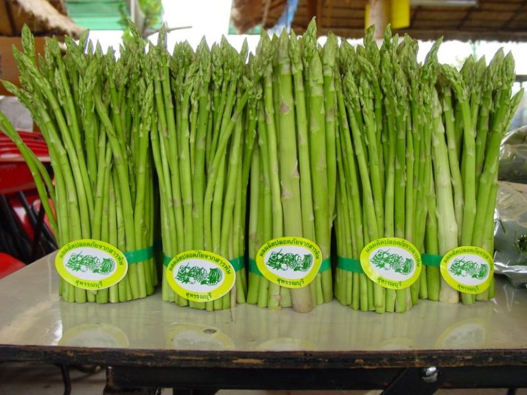 Asparagus with label World Crops Database
