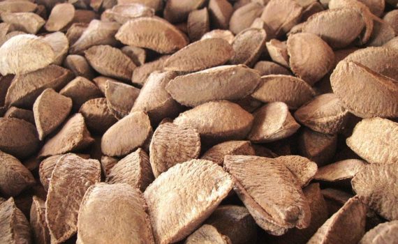 Brazil nuts