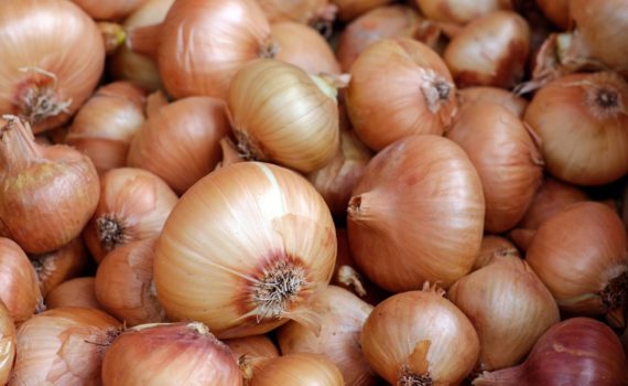 Bulb vegetables - Onions