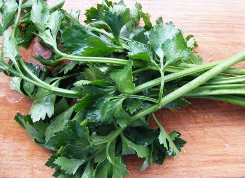 Celery