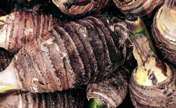 Corm vegetables - Taro root