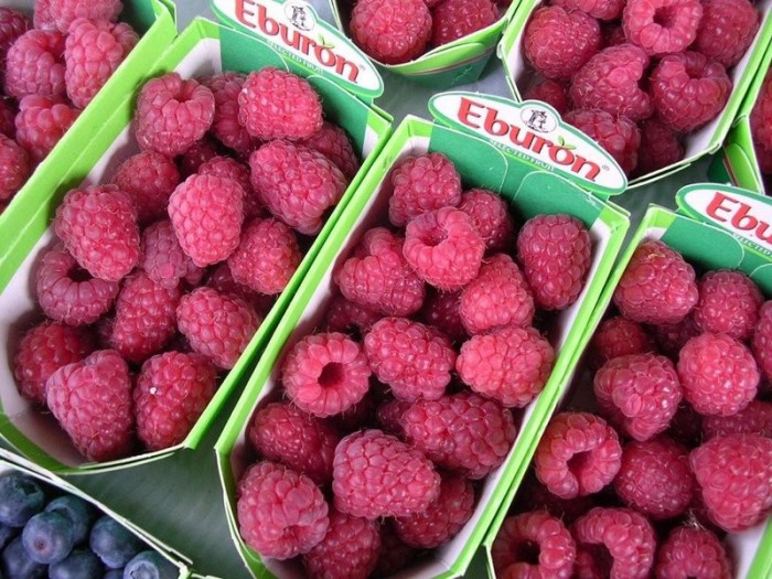 Raspberry World Crops Database