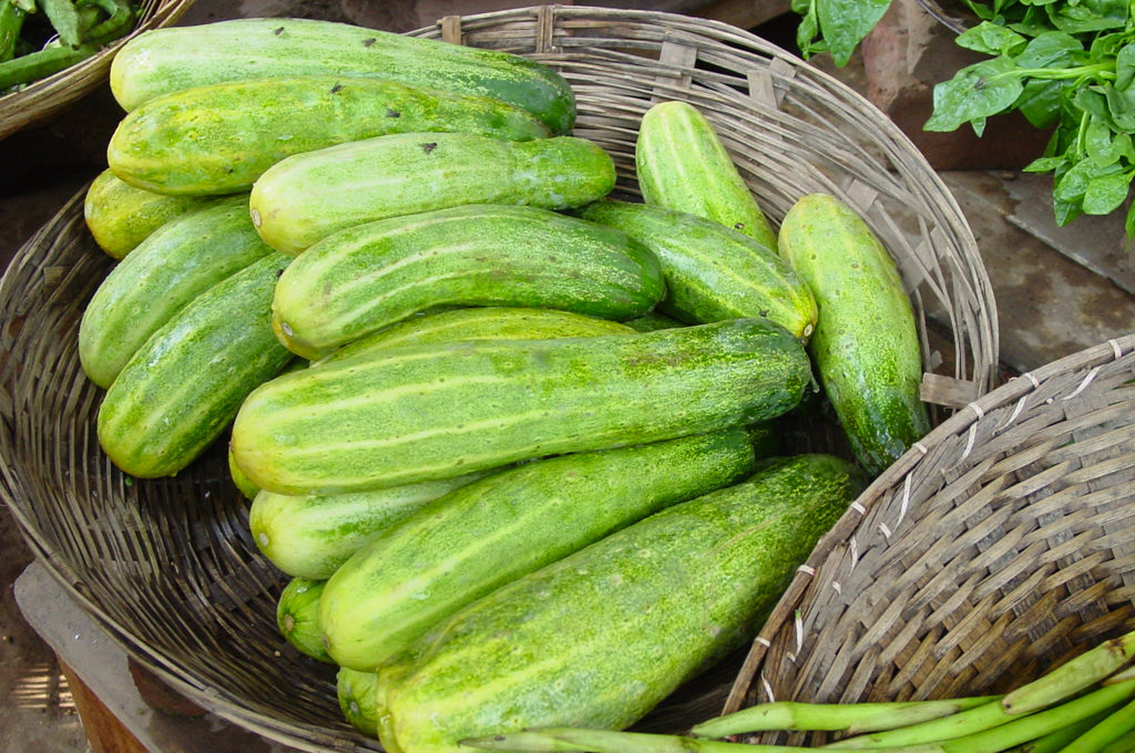 Fruit vegetables - Cucumber