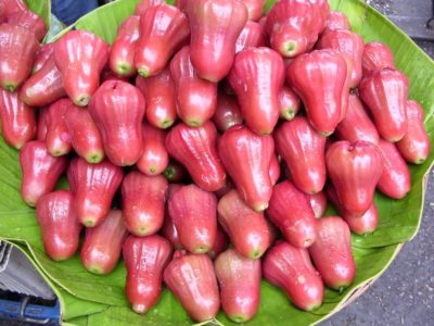 Malay apple on fruits market