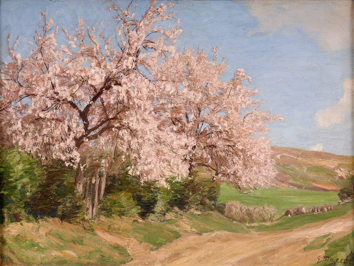 Georg_Macco_Kirschblüte