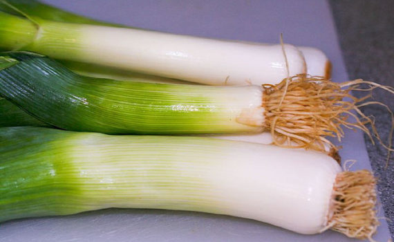 Leek