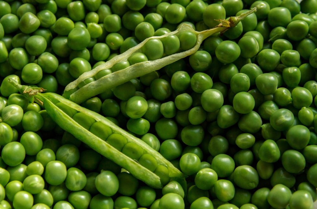 Legumes - Peas