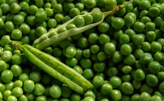 Legumes - Peas