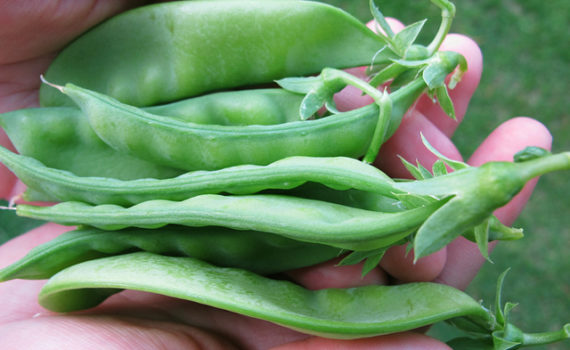 Snow peas