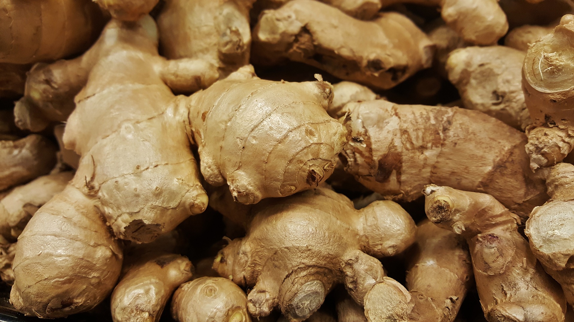 ginger-a-prominent-staple-for-many-winter-home-remedies-the-statesman