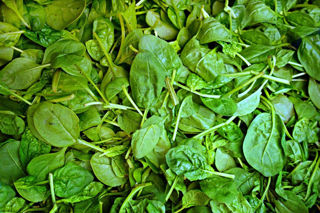 Spinach World Crops Database