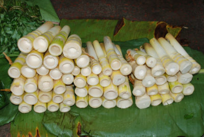 Stem vegetables - Bamboo shoots