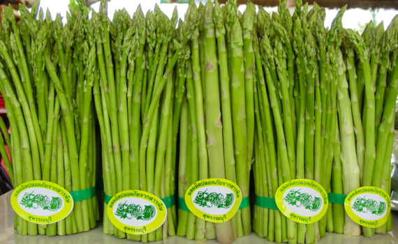 Stem vegetables - Green asparagus