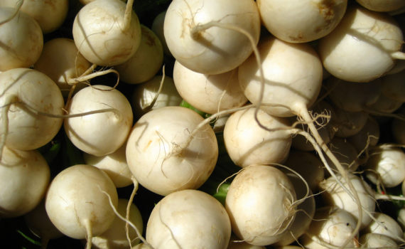 Turnips