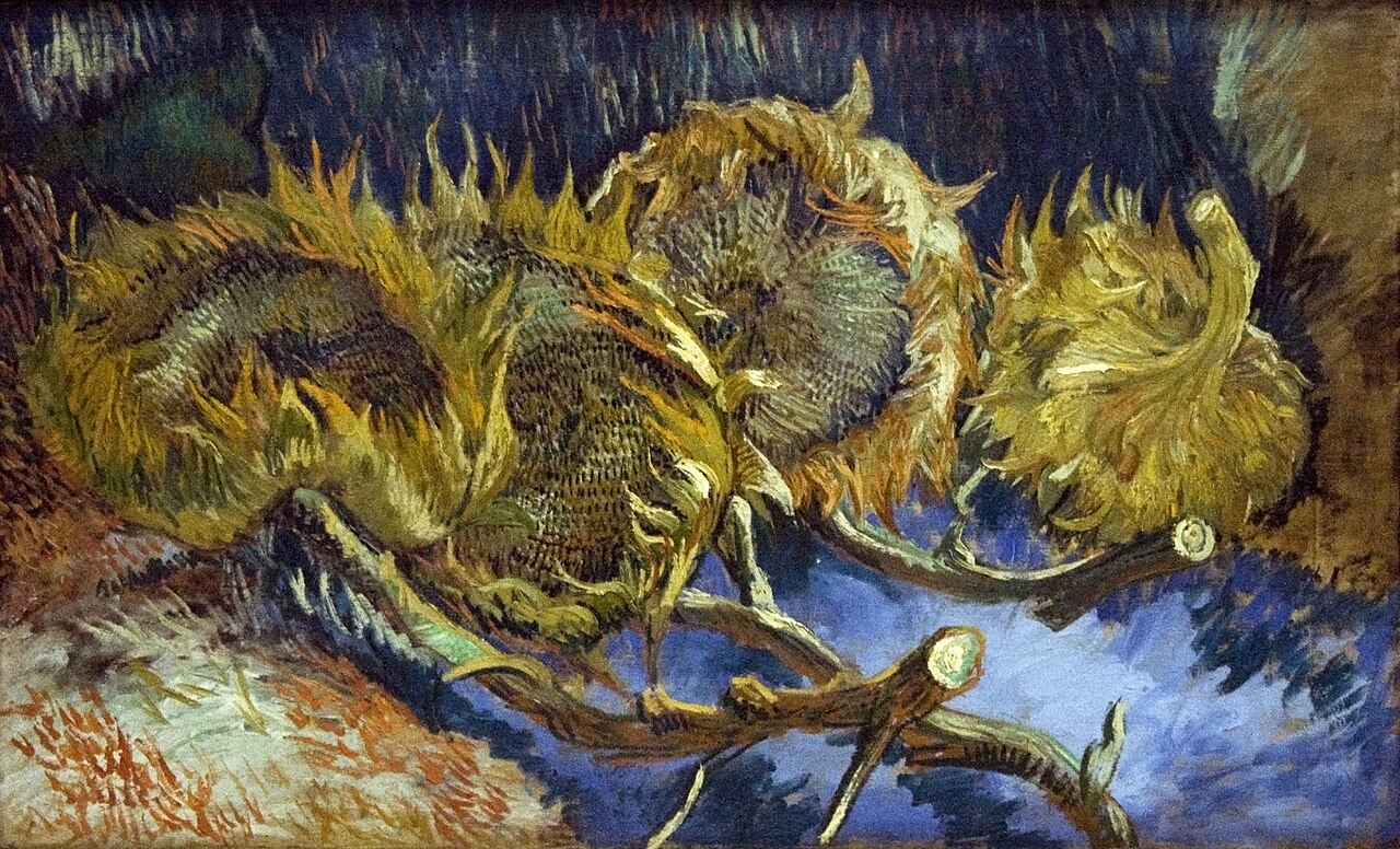 Vier_uitgebloeide_zonnebloemen
