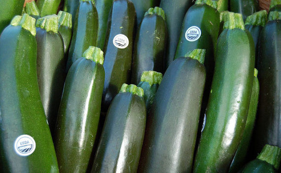 Zucchini