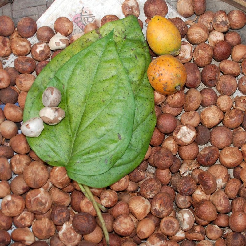 betel-nuts-and-betel-leaves-world-crops-database