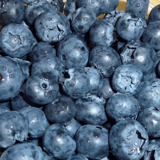 WORLD CROPS DATABASE visual data 4